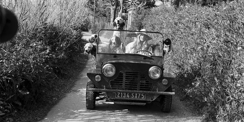 Moke America Coral Gables in Miami FL